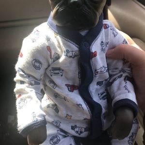 Reborn baby pug and deer